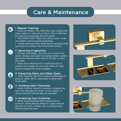 Stainless Steel Gold Soap Dish & Tumbler Holder for Bathroom (25.8X13X9.5 CM)