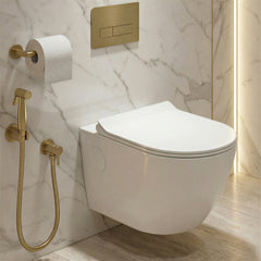 Platinum Ceramic Wall Hung Western Commode (ANGEL-Rimless)