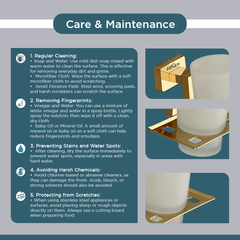 Arquin Stainless Steel Gold Tumbler Holder for Bathroom (12.4X12.3X9.5 CM)