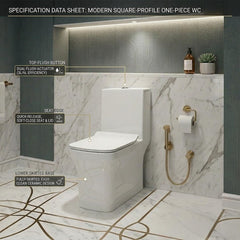 One Piece Ceramic Toilet Commode (COMPASS)