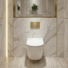 Platinum Ceramic Wall Hung Western Commode (ANGEL-Rimless)