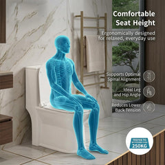 One Piece Ceramic Toilet Commode(LEXUS-Rimless)
