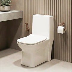 One Piece Ceramic Toilet Commode (ORCHID-Rimless)