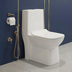 One Piece Ceramic Toilet Commode (ORCHID-Rimless)